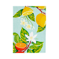 Canovaccio – Botanica
