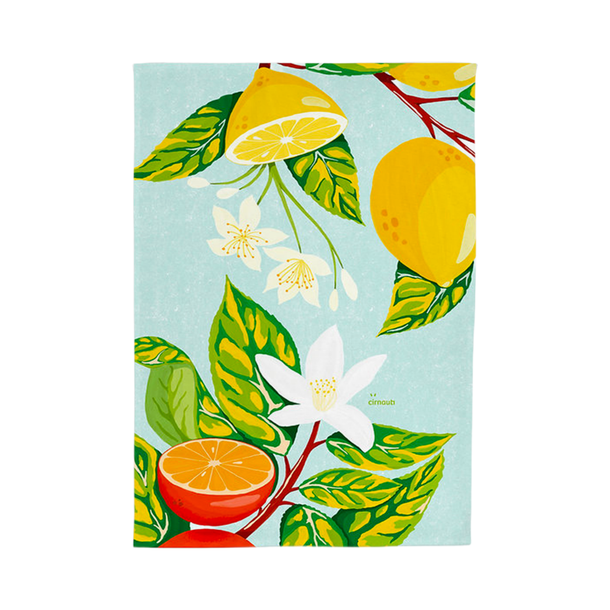 Canovaccio – Botanica