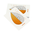 Cartolina – Arancino