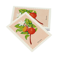 Cartolina – Arancio Dolce