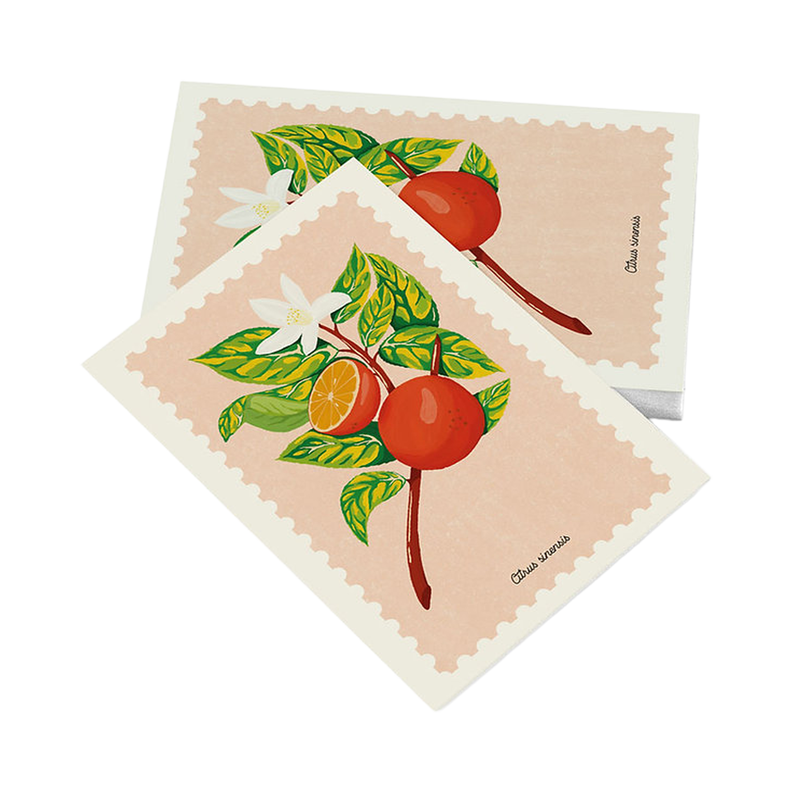Cartolina – Arancio Dolce