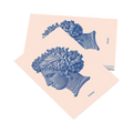 Cartolina – Aretusa