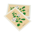 Cartolina – Cappero
