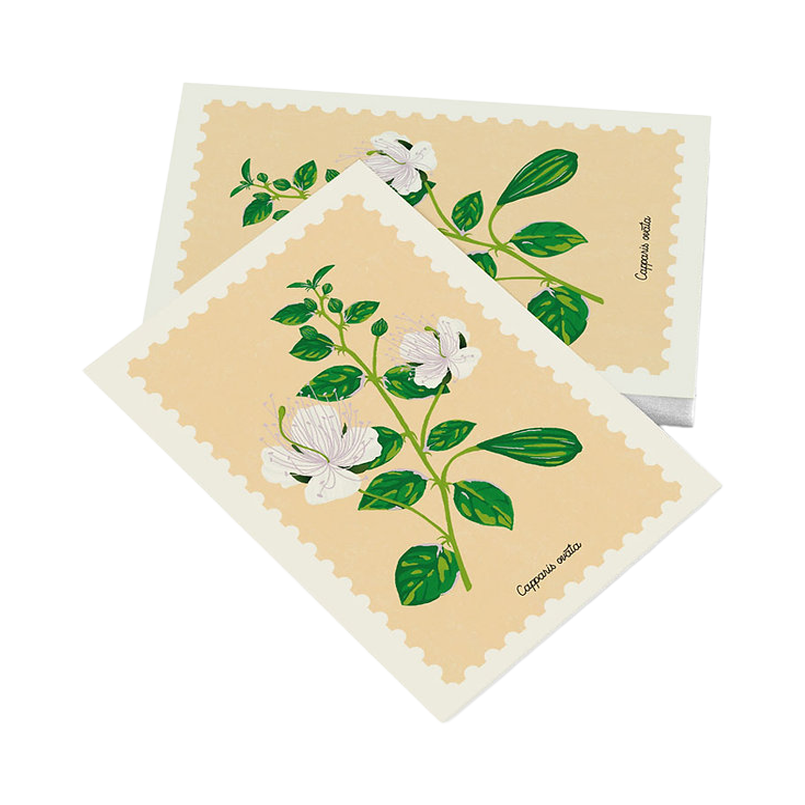 Cartolina – Cappero