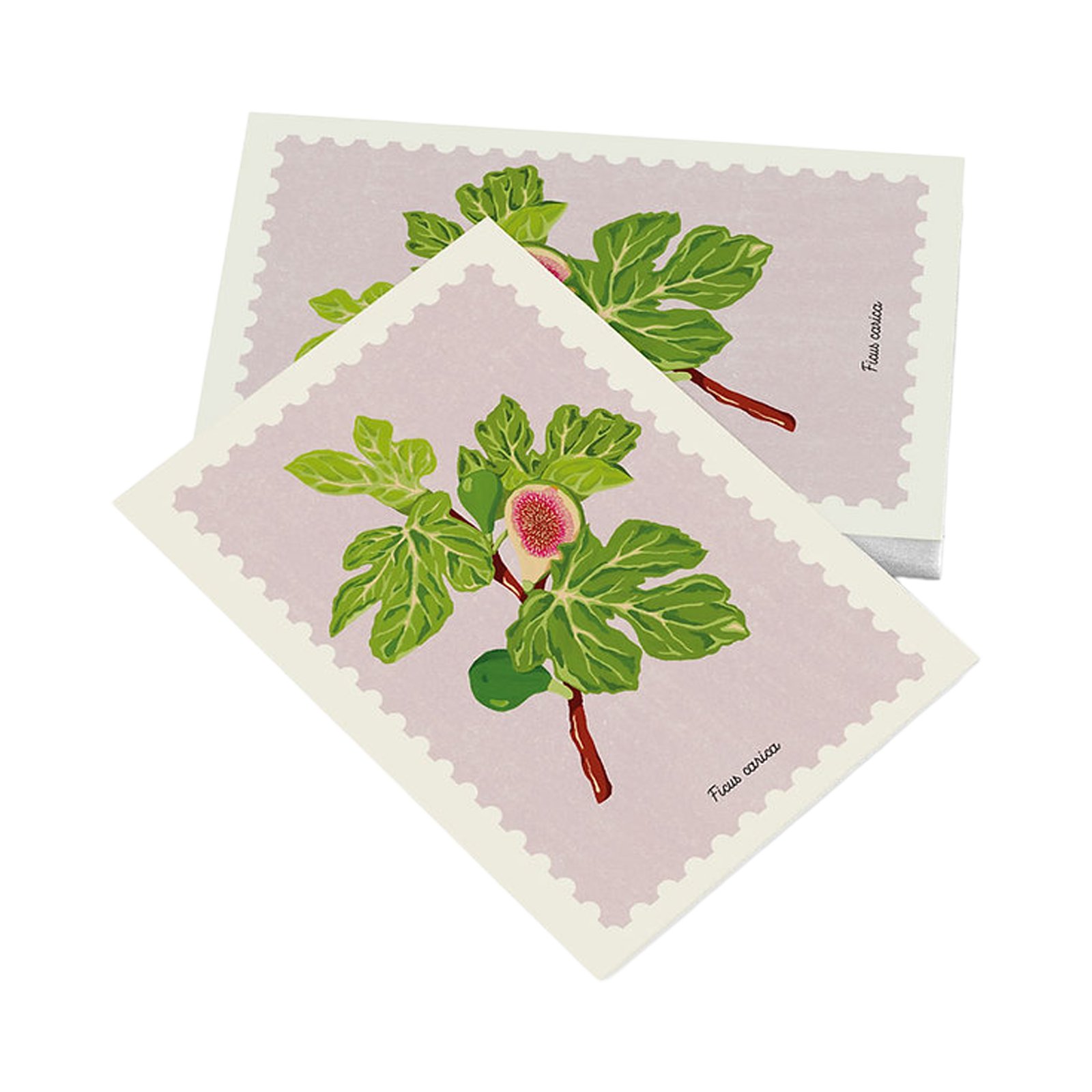 Cartolina – Fico