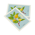 Cartolina – Limone