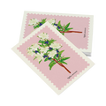 Cartolina – Mirto
