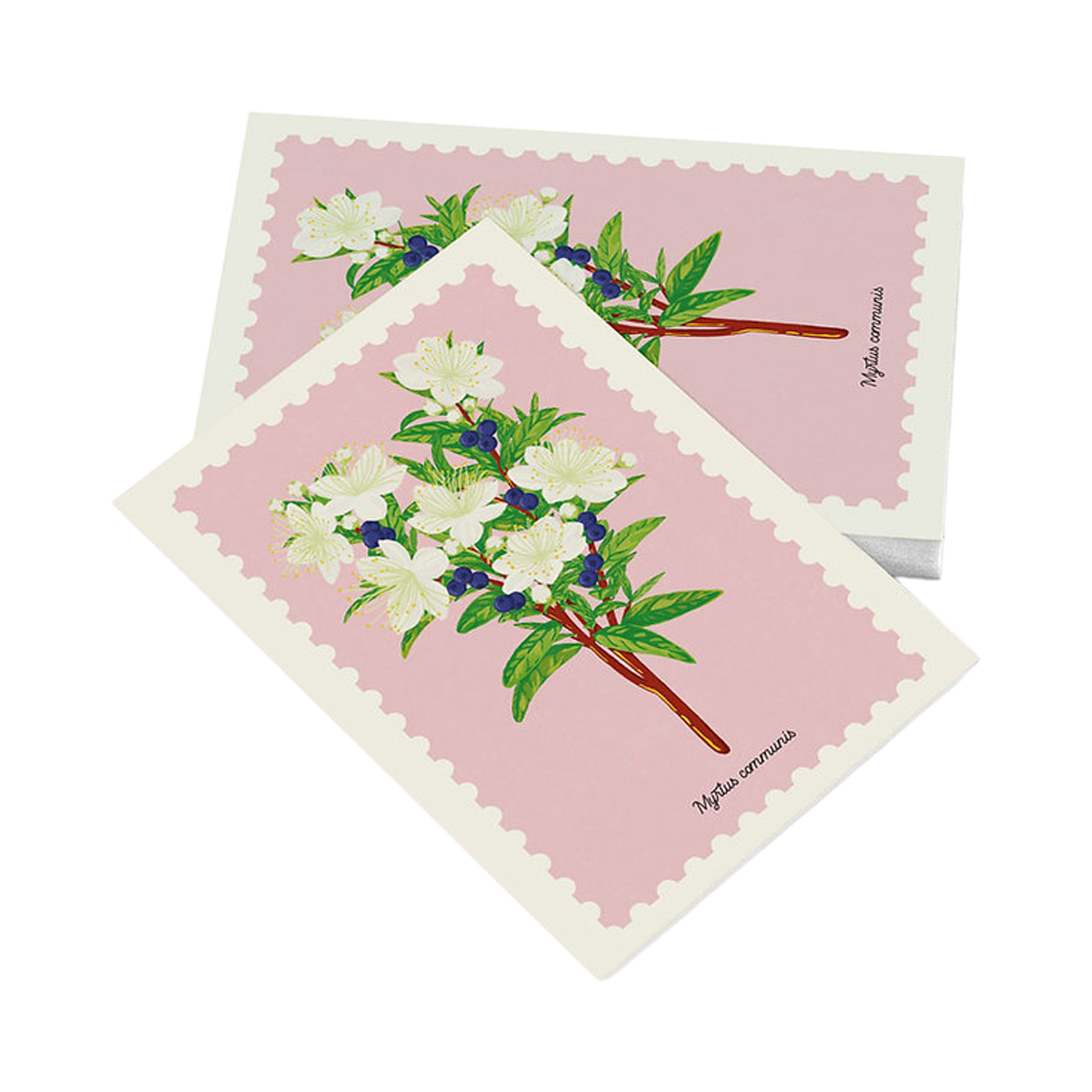 Cartolina – Mirto