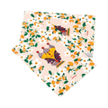 Cartolina – Teste di Moro