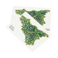 Cartolina – Sicilia Arance