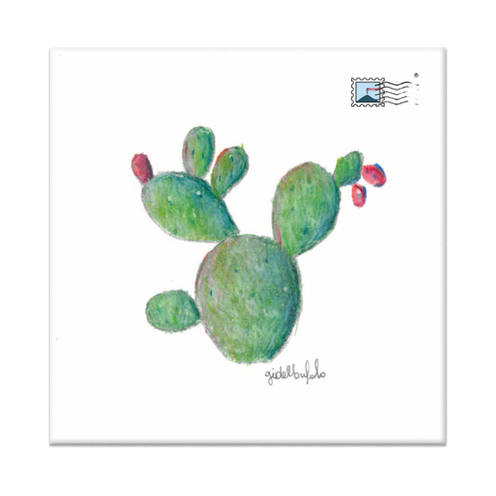 Magnete – Fico d’India