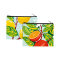 Pochette – Botanica