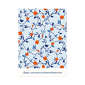Quaderno – Arance