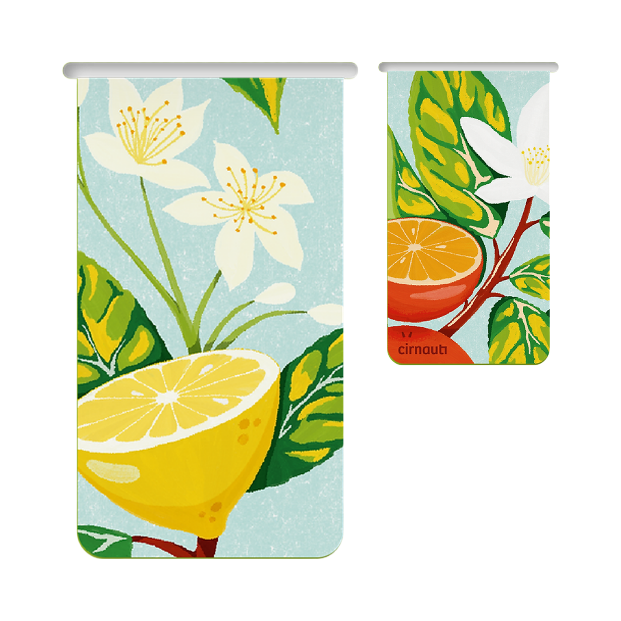 Segnalibro Magnetico – Limoni e Arance