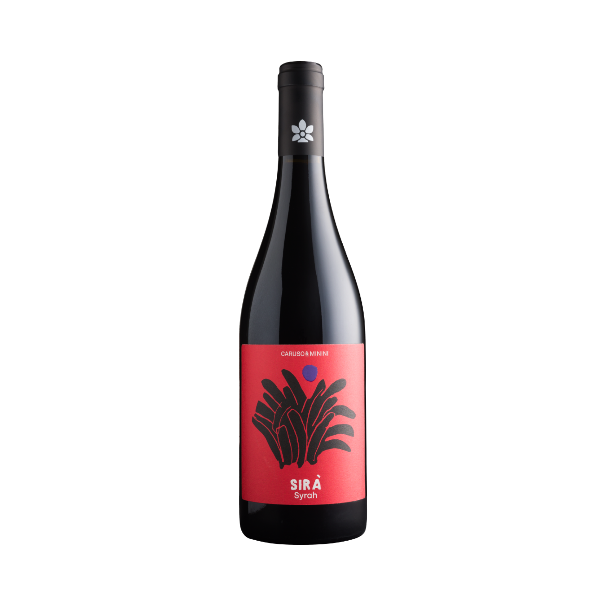 Sirà – Syrah