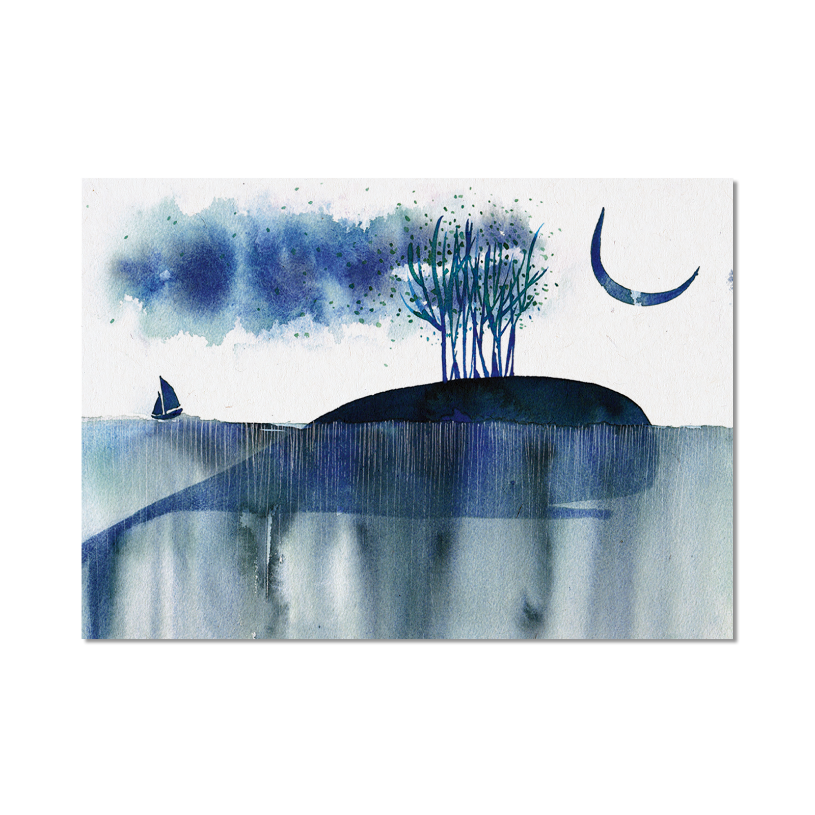 Stampa Illustrata – Balena Azzurra