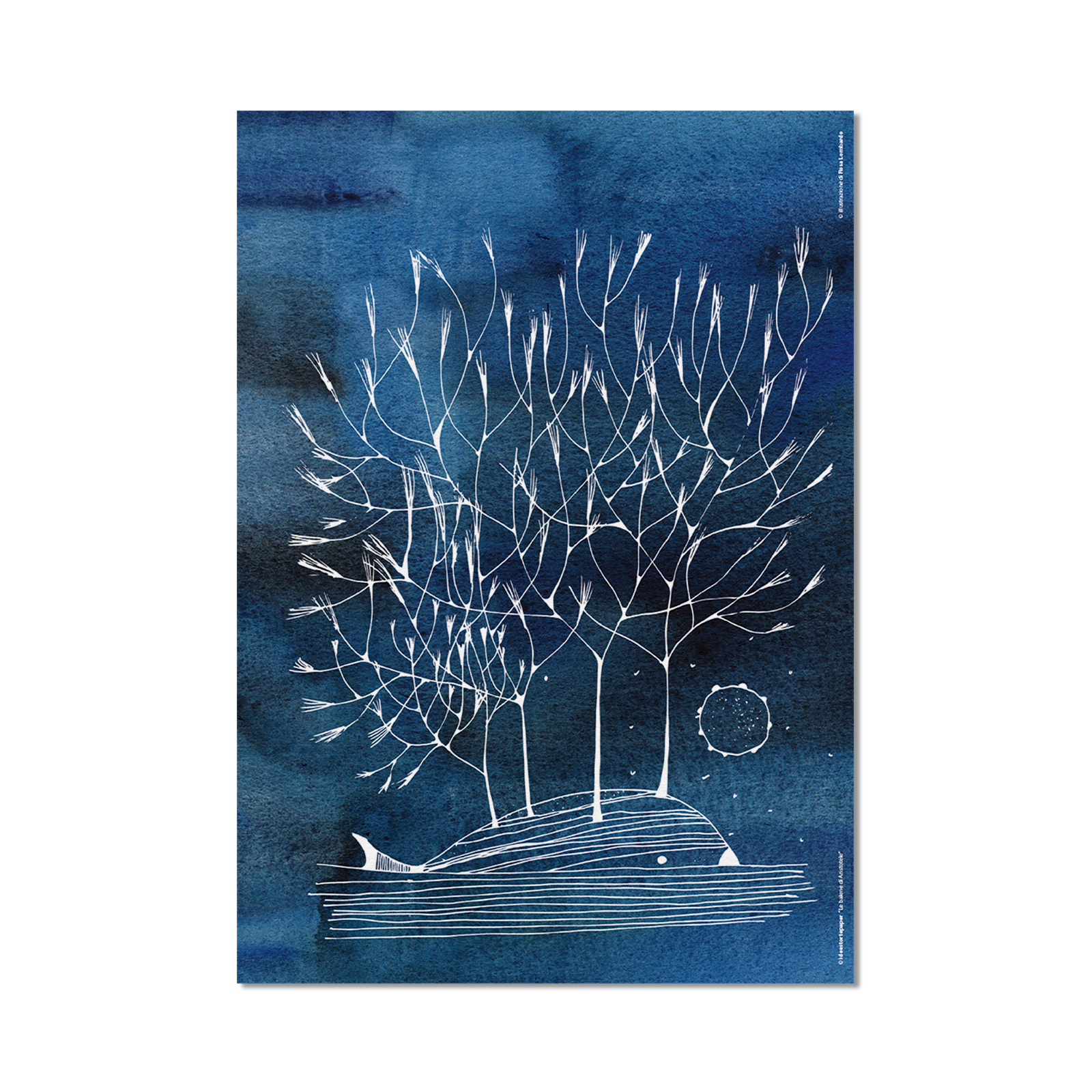 Stampa Illustrata – Balena Blu Bianco