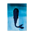 Stampa Illustrata – Balena Fondale
