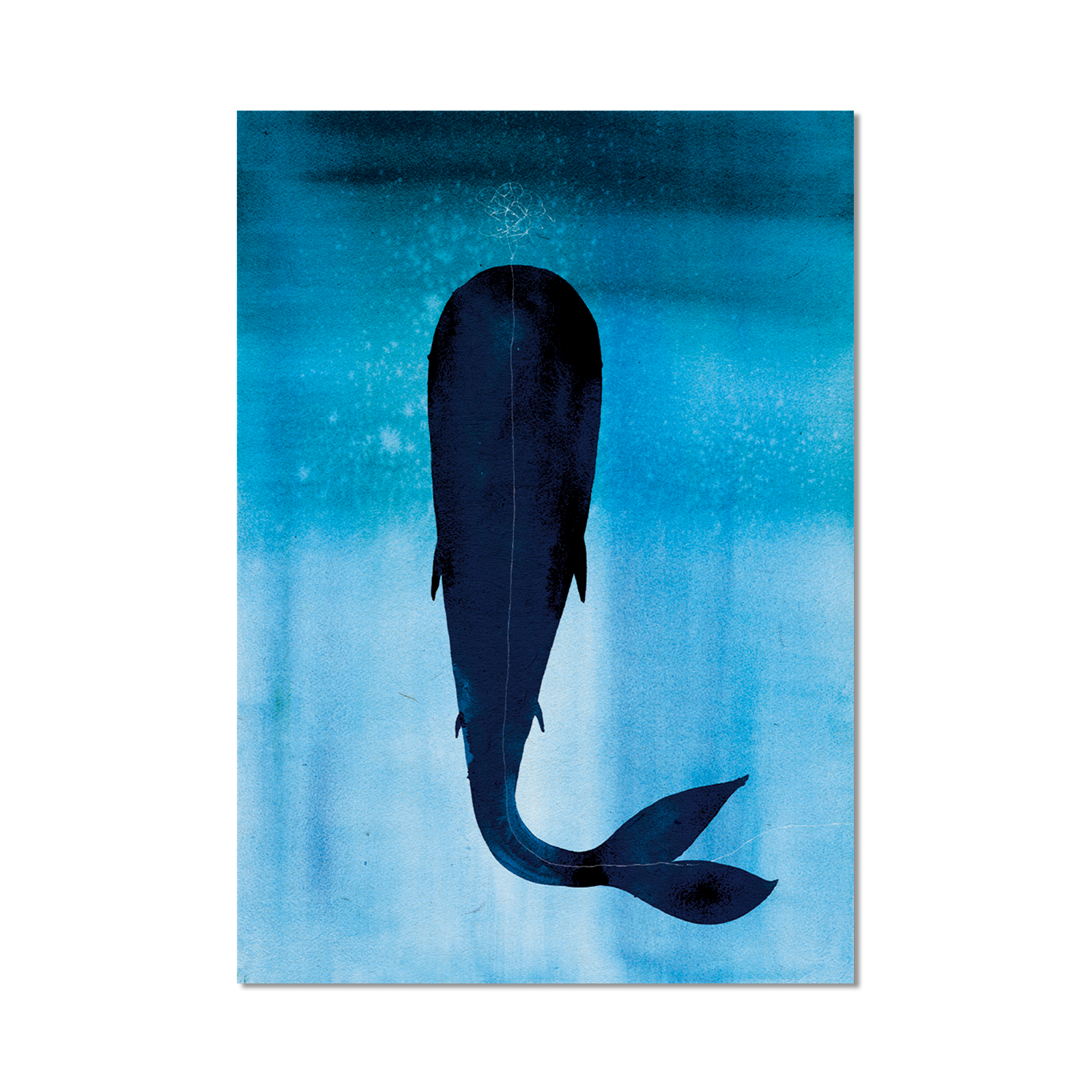 Stampa Illustrata – Balena Fondale