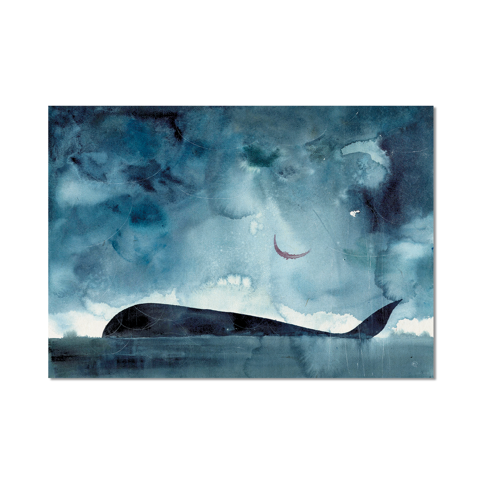 Stampa Illustrata – Balena Nuova