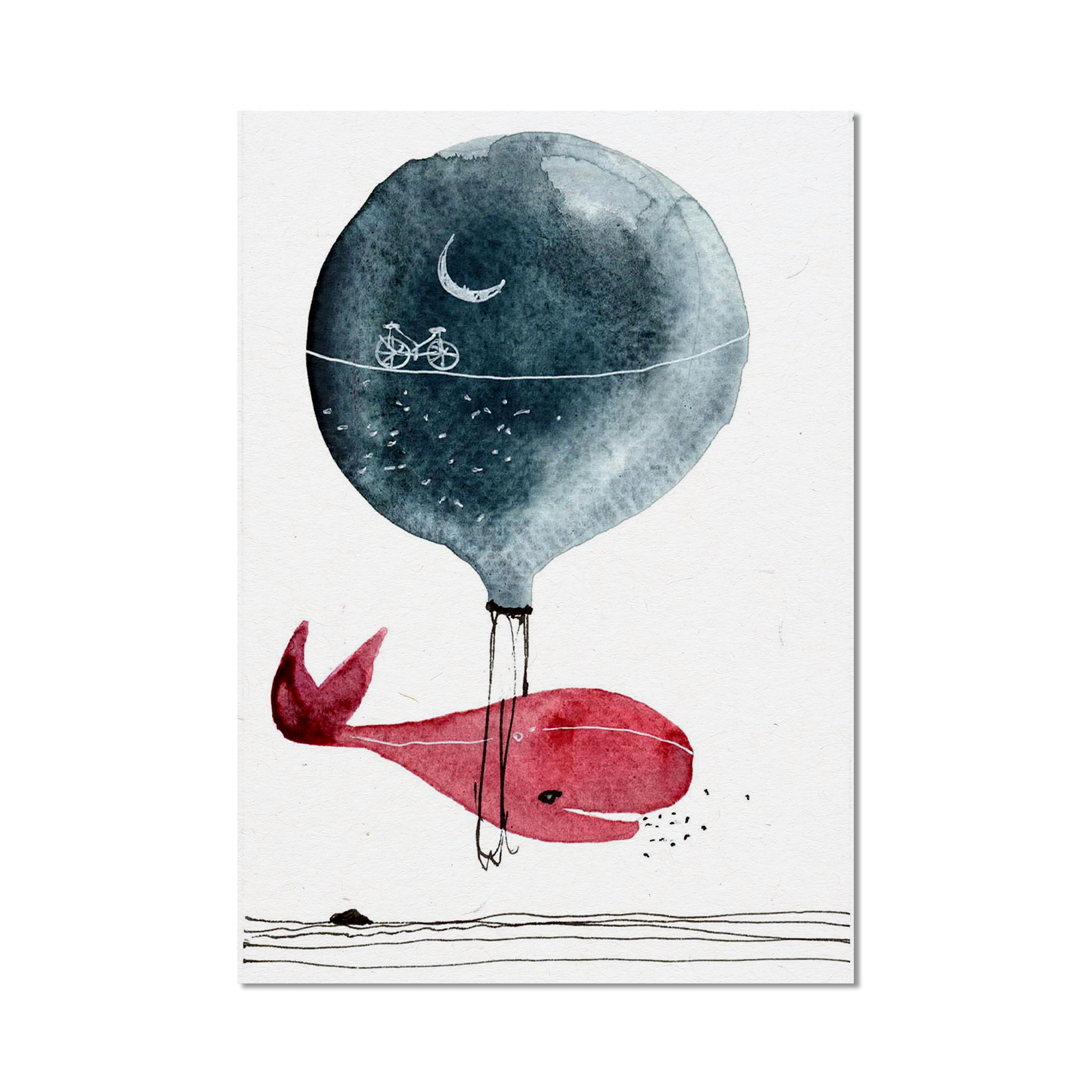 Stampa Illustrata – Balena Piccoli 1