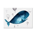 Stampa Illustrata – Balena Piccoli 14