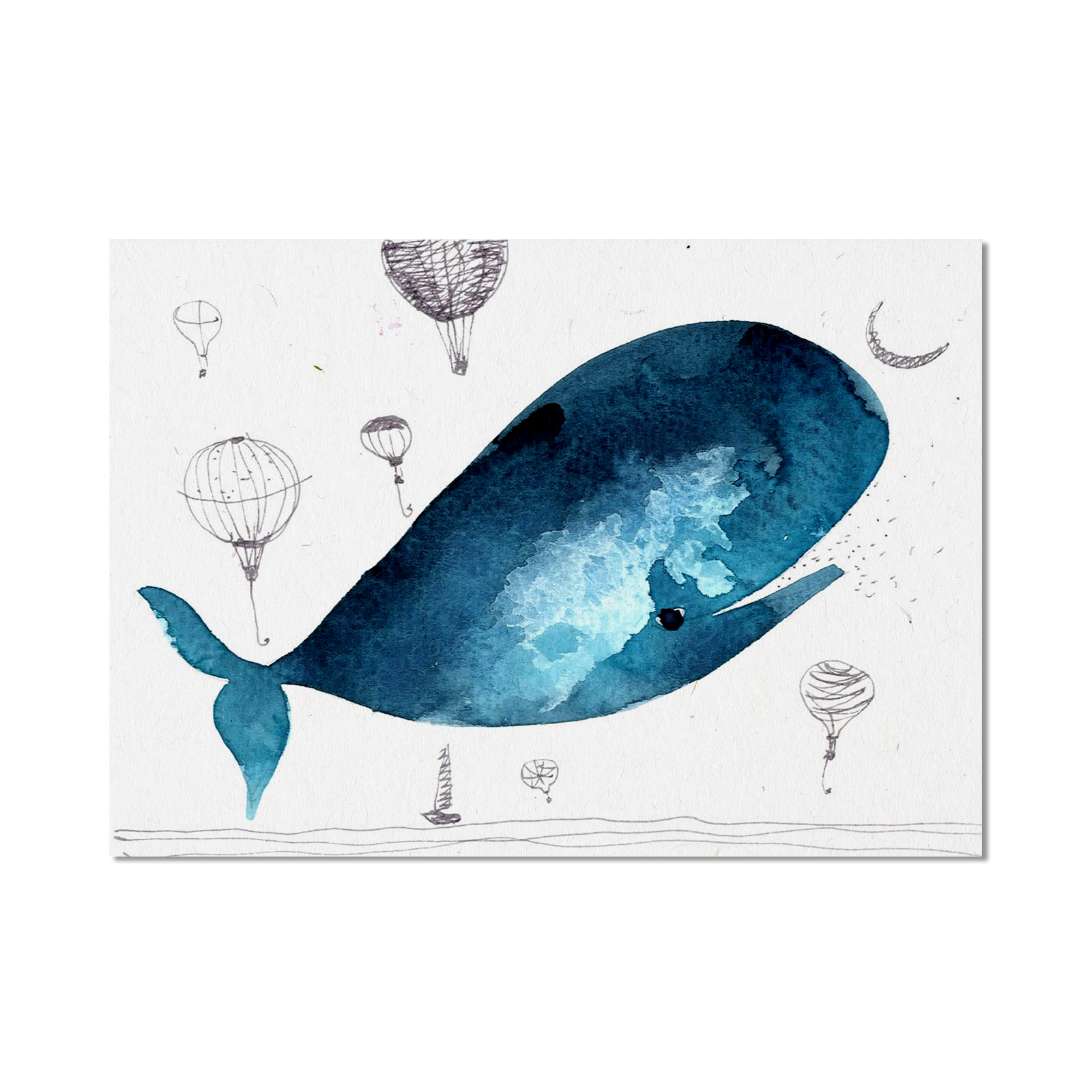 Stampa Illustrata – Balena Piccoli 14