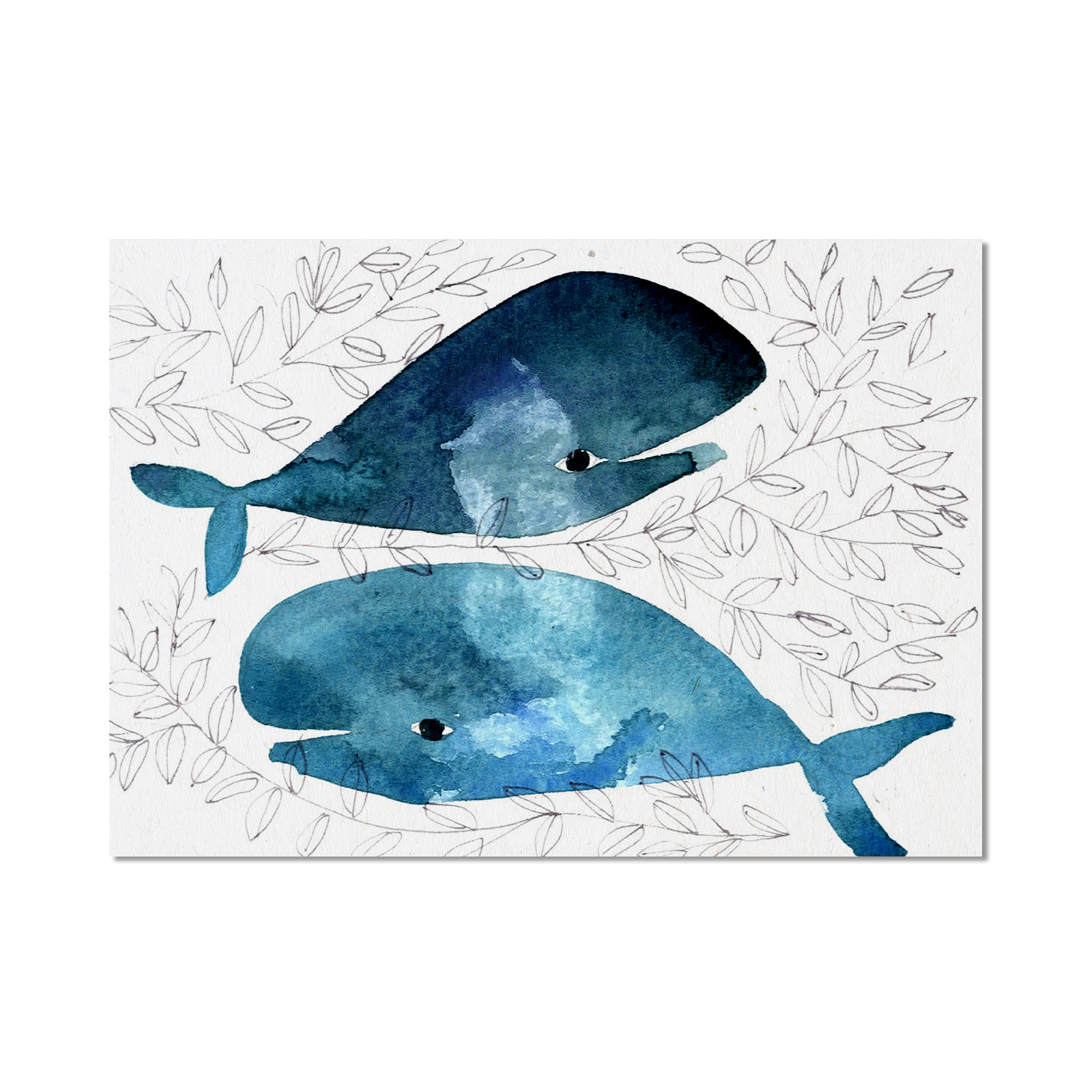 Stampa Illustrata – Balena Piccoli 16