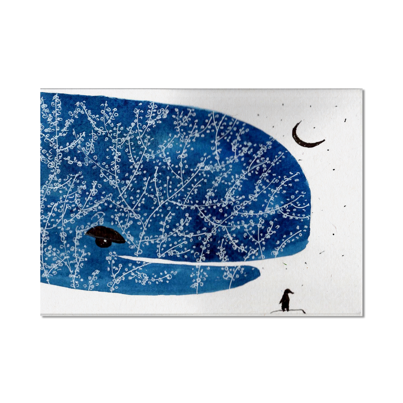 Stampa Illustrata – Balena Piccoli 5