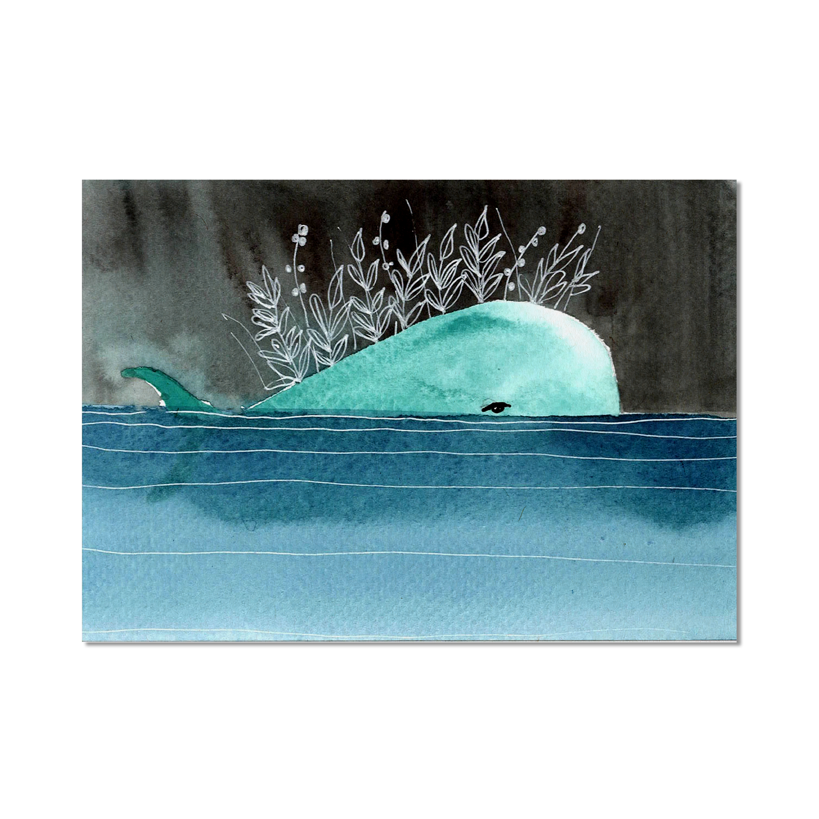 Stampa Illustrata – Balena Piccoli 8