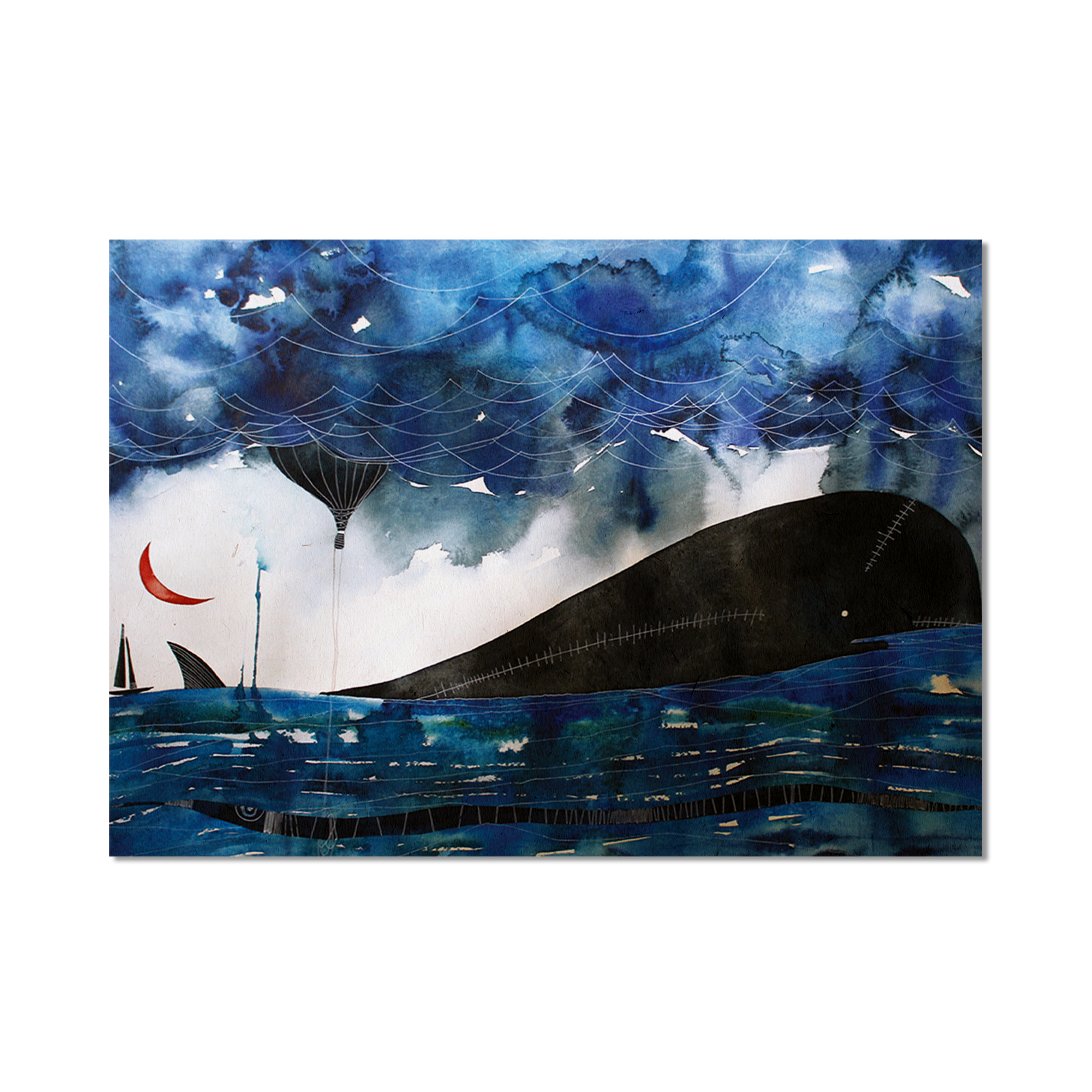 Stampa Illustrata – Balena Tempesta