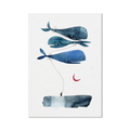 Stampa Illustrata – Balena Volante