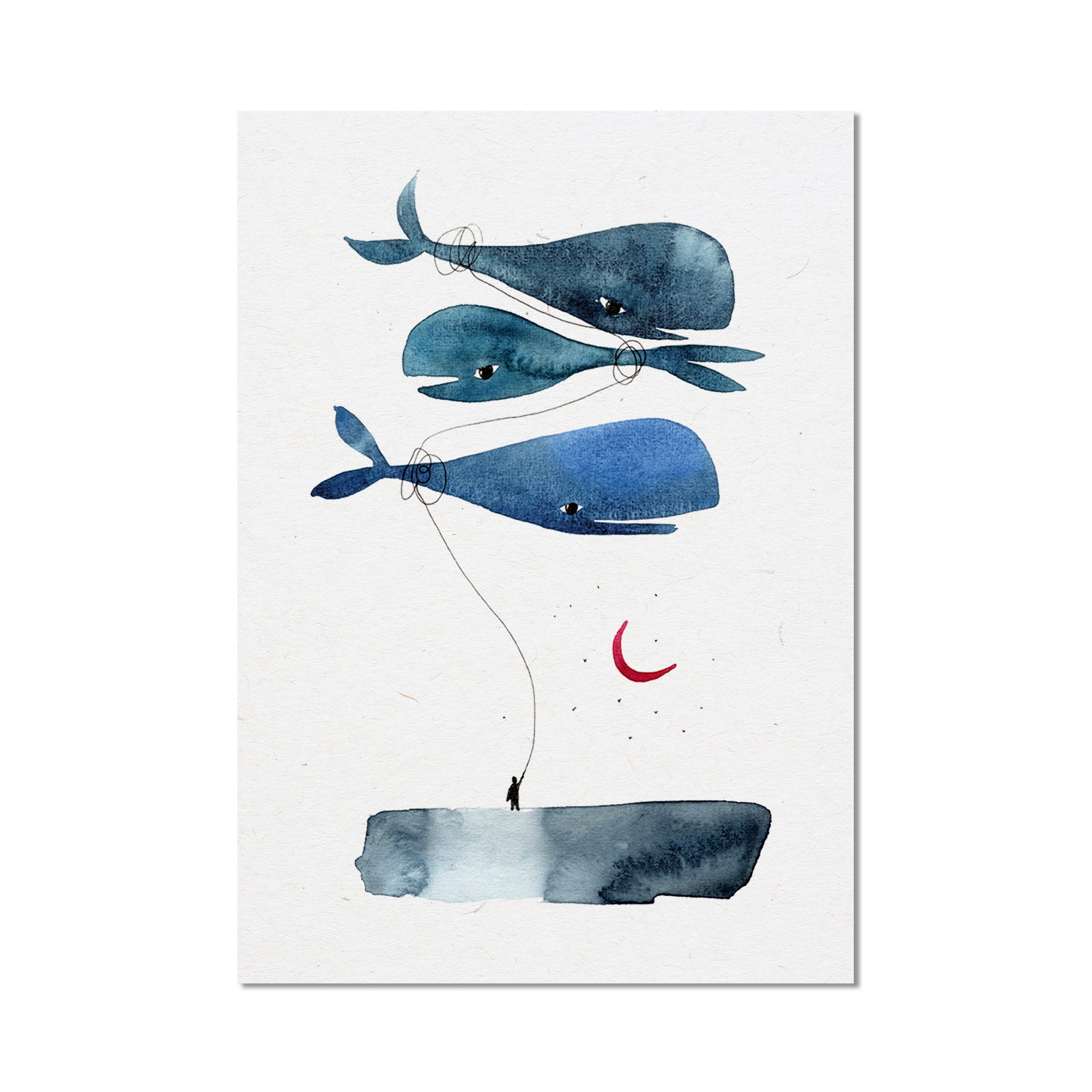 Stampa Illustrata – Balena Volante