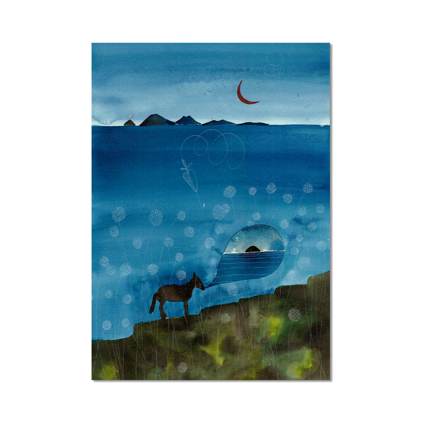 Stampa Illustrata – Collezione Isole – Alicudi