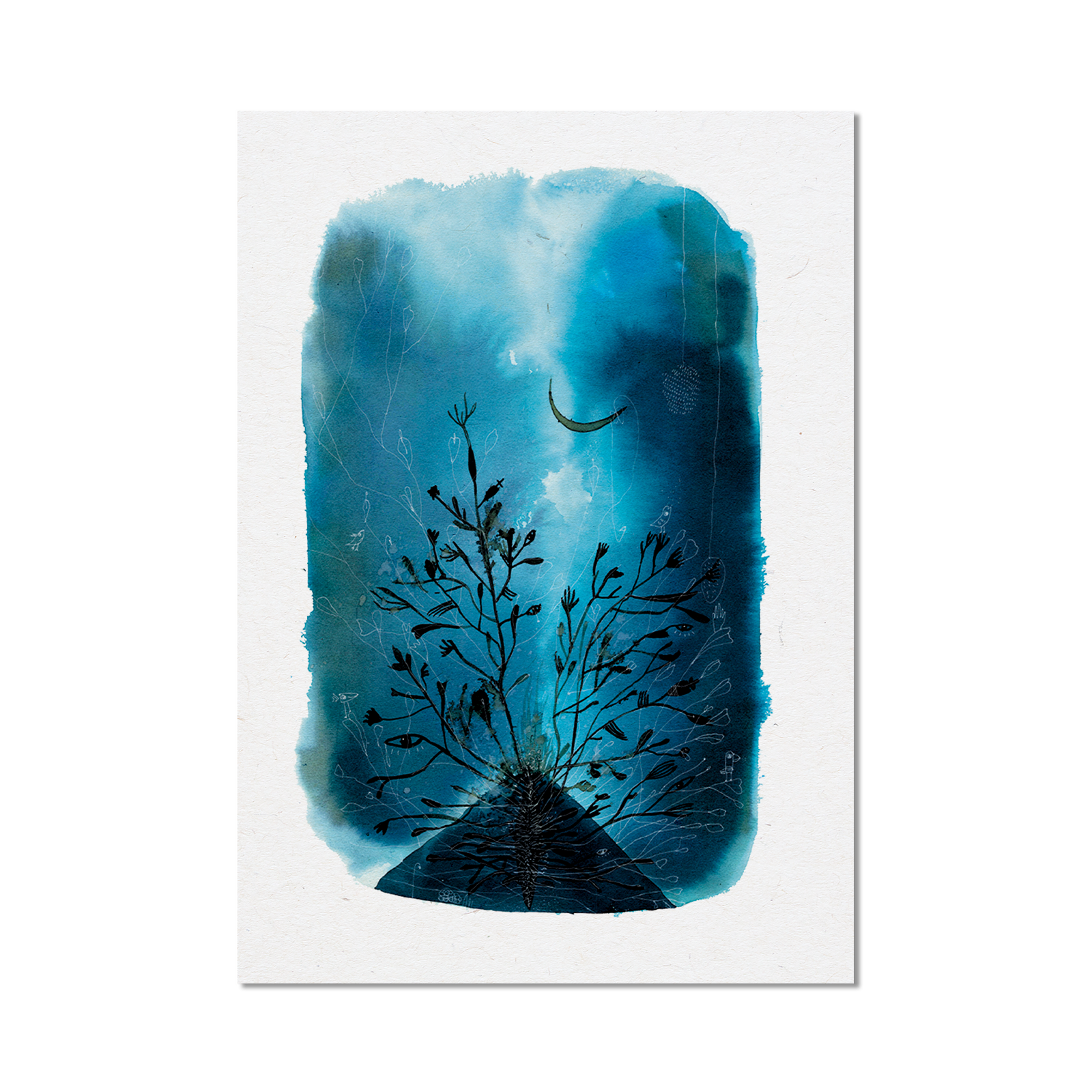 Stampa Illustrata – Collezione Isole – Dagala