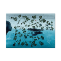Stampa Illustrata – Collezione Isole – Isole tutte