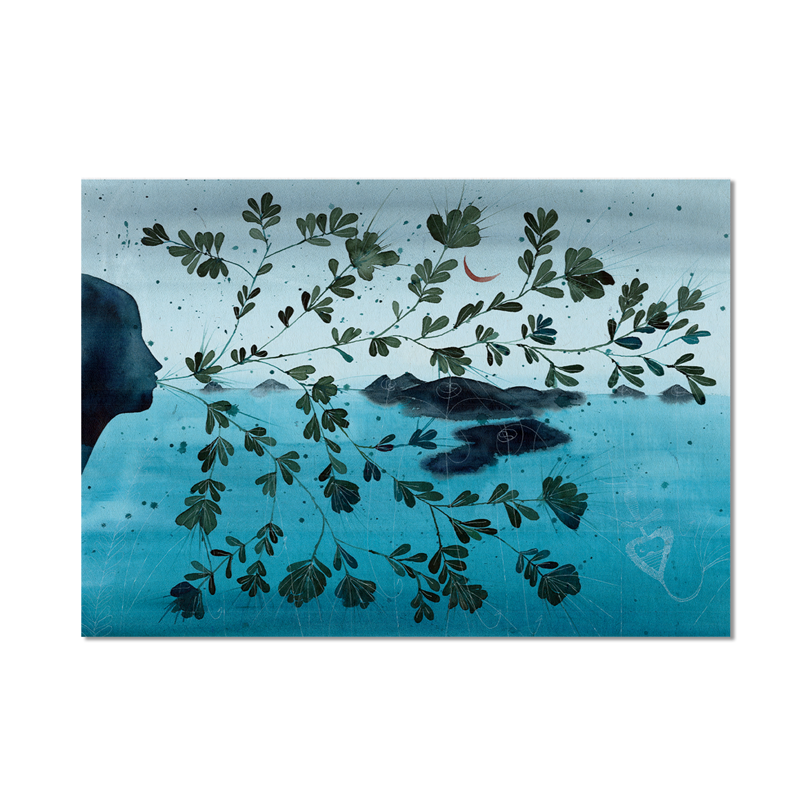 Stampa Illustrata – Collezione Isole – Isole tutte
