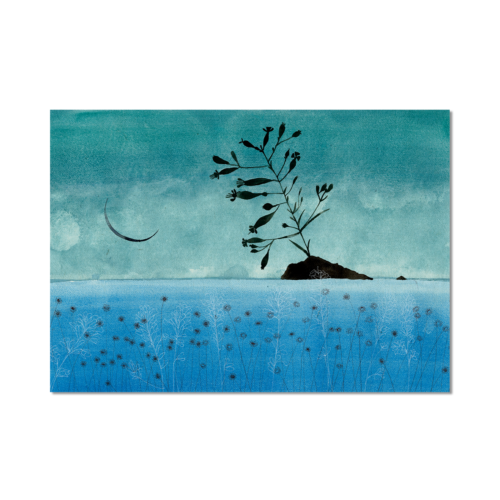 Stampa Illustrata – Collezione Isole – Panarea