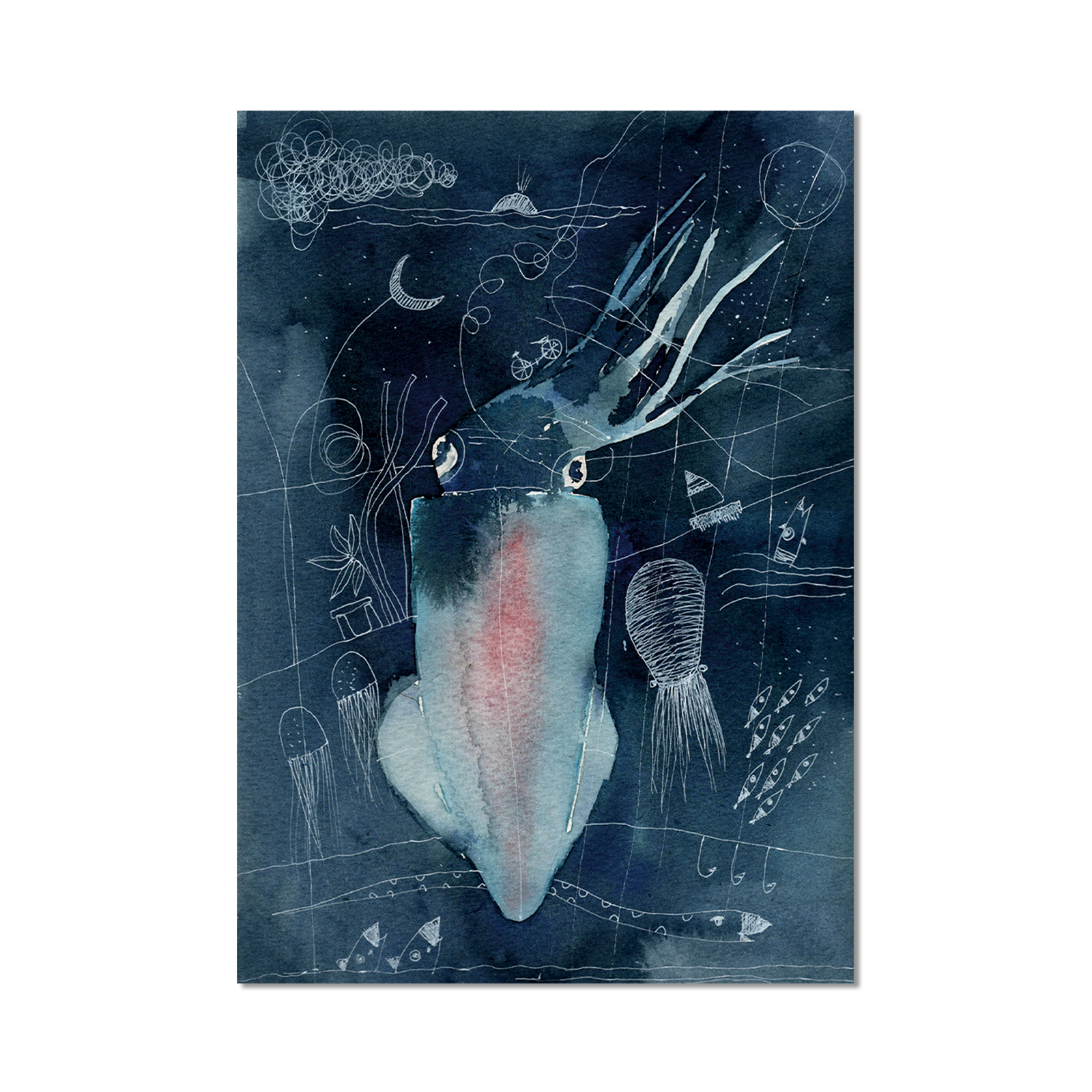 Stampa Illustrata – Collezione Mare – Calamaro