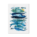 Stampa Illustrata – Collezione Pesci – Pesci Verticali