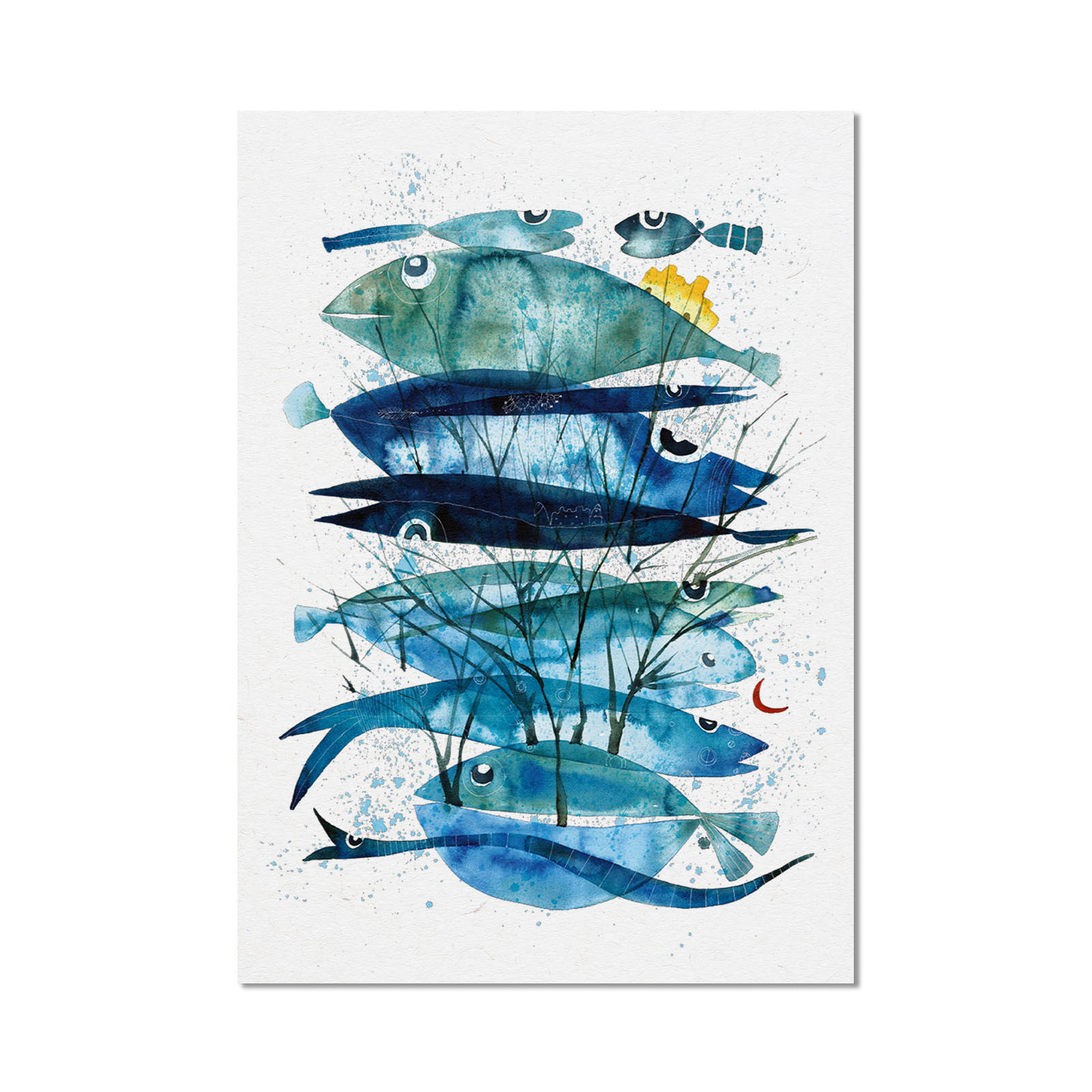 Stampa Illustrata – Collezione Pesci – Pesci Verticali