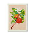 Stampa illustrata – Arance