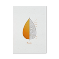 Stampa illustrata – Arancino