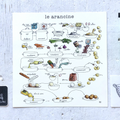 Stampa Illustrata – Arancine