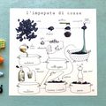 Stampa Illustrata – Impepata di Cozze