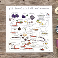 Stampa Illustrata – Involtini di Melanzane