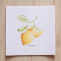 Stampa Illustrata – Limone 2
