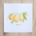 Stampa Illustrata – Limone 3