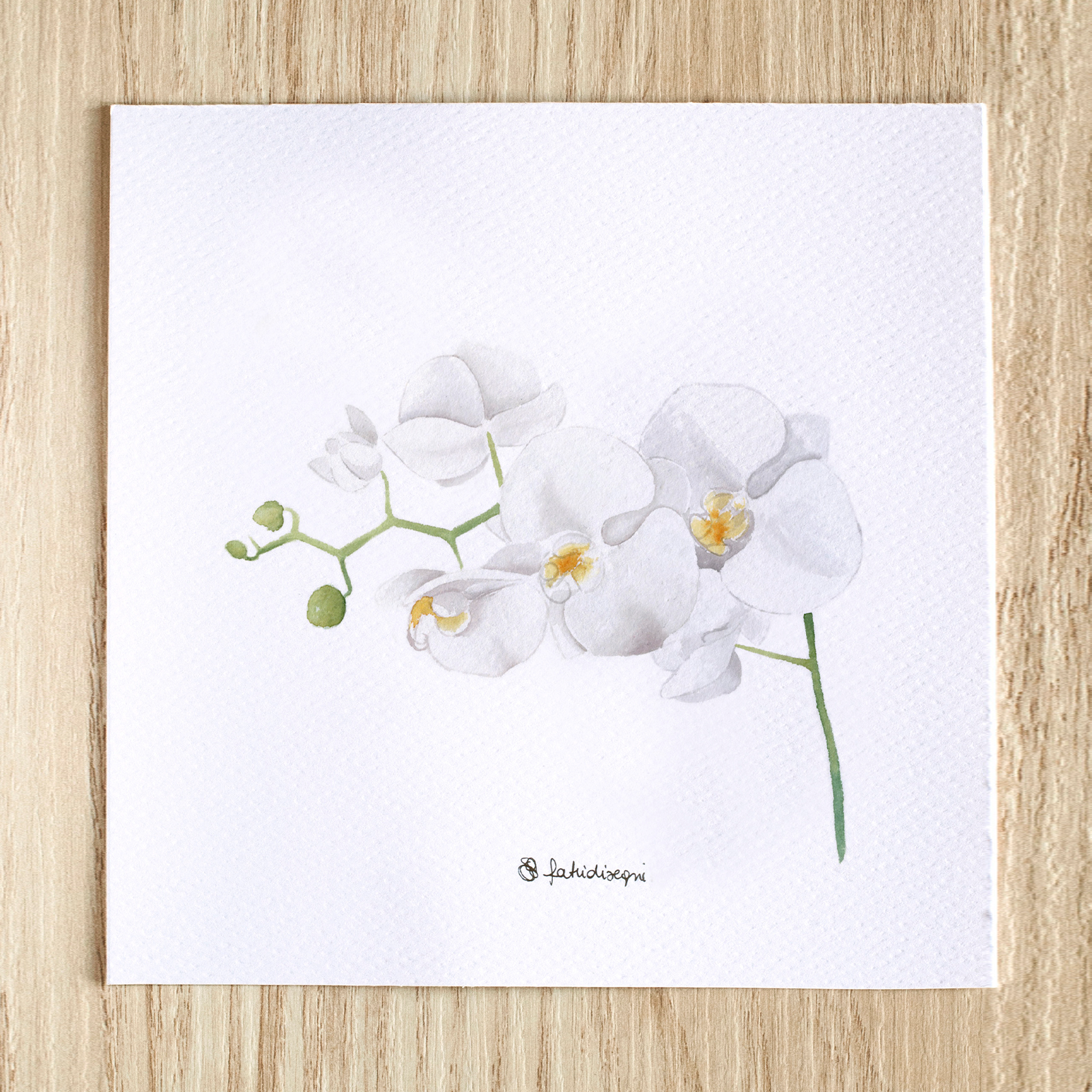 Stampa Illustrata – Orchidea 1