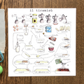 Stampa Illustrata – Tiramisù